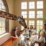 giraffe-manor-kenya