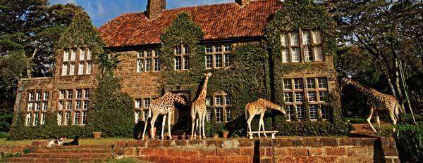 giraffe-manor-surrounding3